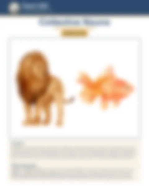 Blurred preview of inside pages from Collective Nouns. Select to enlarge.